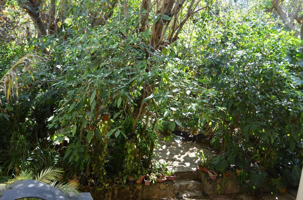 Hotel Bio Calli Tlayacapan Camera foto